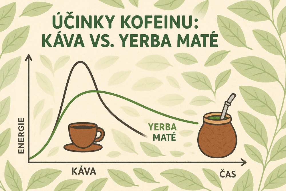 Yerba Mate Vs Káva Kofein