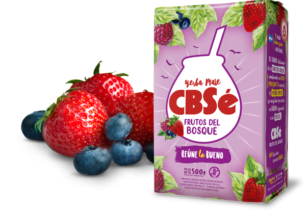 yerba mate cbse frutos del bosques