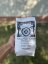 Yerba Mate Green Despalada 400g