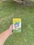 Yerba Mate Pajarito Menta Limón 500g
